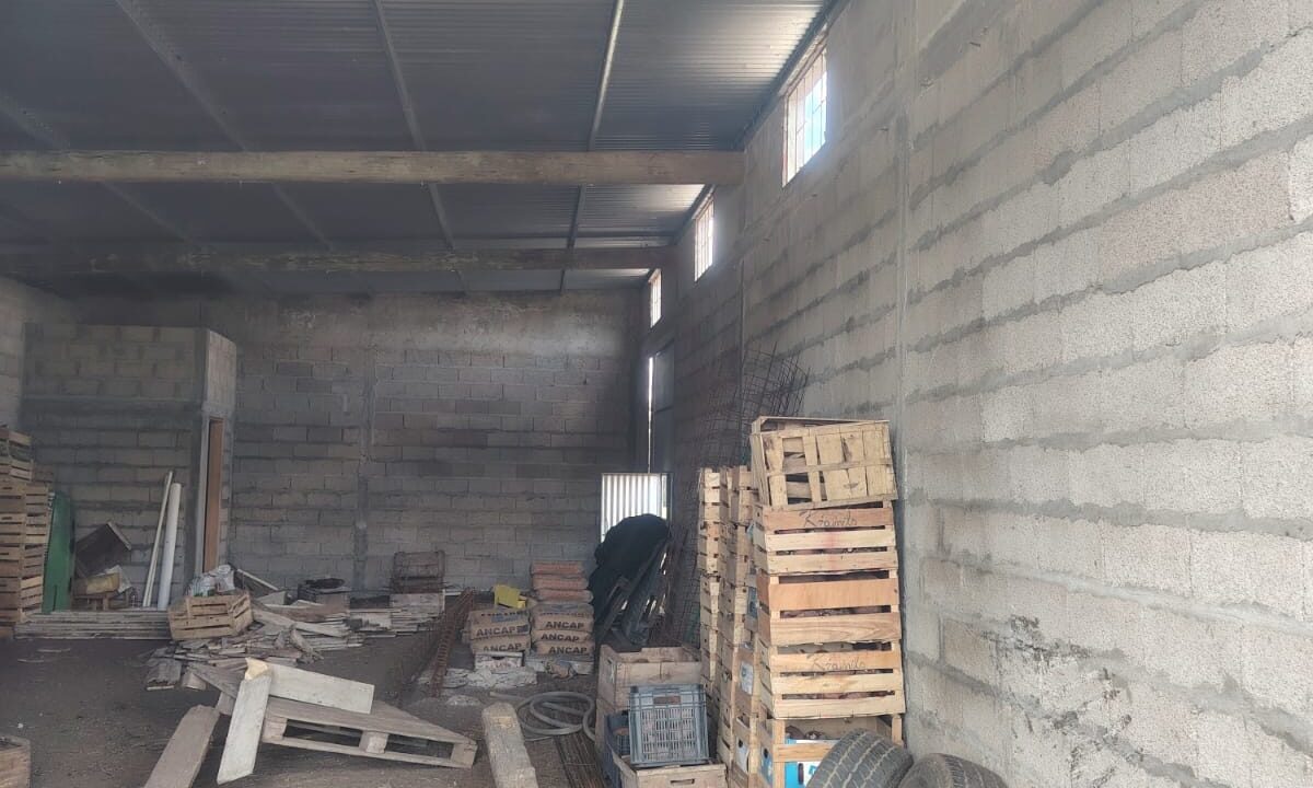 cffd3420-3da4-4f9e-9f16-9a6a96ee92a2
